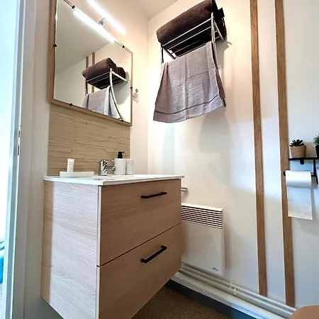 Apartment L'atrium - Fibre Wi-fi - Netflix - 1km De Stanislas Nancy