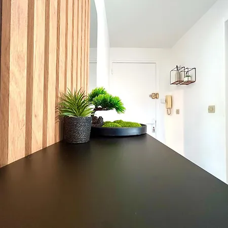 L'atrium - Fibre Wi-fi - Netflix - 1km De Stanislas * Nancy